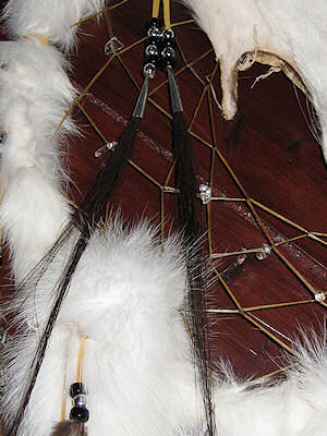 Detail of horsehair and crystals in web
