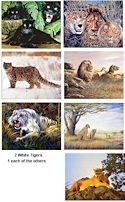 8 Jungle Cats 16x20" Art Prints - One price for all!