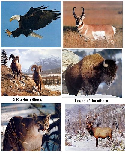 north American wildlife posters wholesale