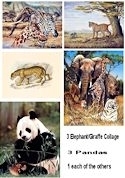 9 Safari Animals 16x20" Art Prints - One price for all!