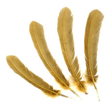 Camel Dyed Turkey Quill Feathers, Pkg of 4