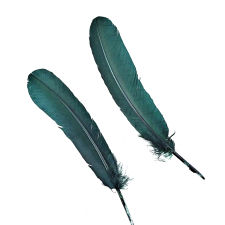 Hunter Green Turkey Quill Feathers, Pkg of 4