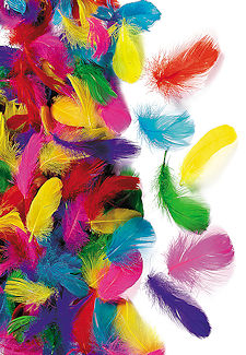 600 Brightly Colored Feather Assortment