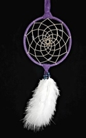 12" Dream Catcher with Ostrich Plumes