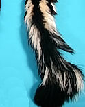 Skunk Tail with Ball Chain Fastener