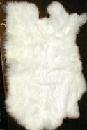 All White Rabbit Fur Pelts