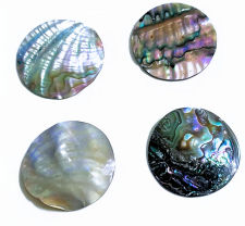 1.5" Abalone Focal Point (No Holes)