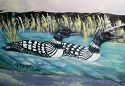 Framed and Matted Two Loons Original Feather Painting