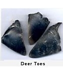 Deer Hooves (Toes)