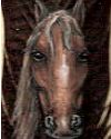 Framed Chestnut Horse Original Feather Painting