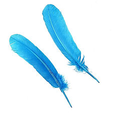 Dark Turquoise Dyed Turkey Quill Feathers, Pkg of 4