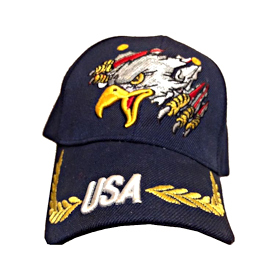 USA eagle tearing through HAT