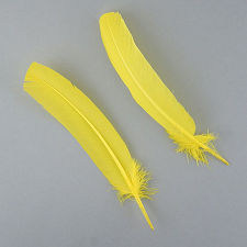 Flourescent Yellow Dyed Turkey Quill Feathers, Pkg of 4