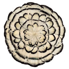 White and Black Lady Amherst Pheasant Feather Pad