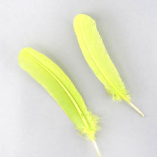 Lime Green Turkey Quill Feathers, Pkg of 4