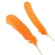 Mango Orange Turkey Quill Feathers, Pkg of 4