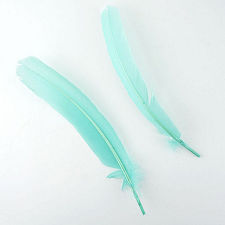 Mint Green Turkey Quill Feathers, Pkg of 4