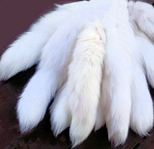 Arctic Fox Tails