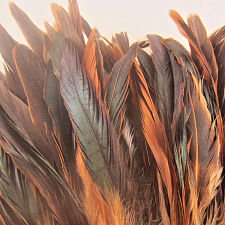 Natural Half Bronze Schlappen feathers, 4-6"