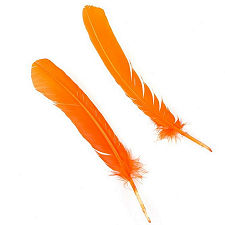 Orange Turkey Quill Feathers, Pkg of 4