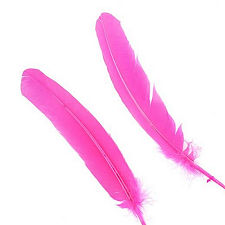 Pink Dyed Turkey Quill Feathers, Pkg of 4