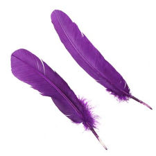 Purple Dyed Turkey Quill Feathers, Pkg of 4