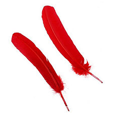 Red Dyed Turkey Quill Feathers, Pkg of 4