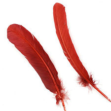 Red Umber Dyed Turkey Quill Feathers, Pkg of 4
