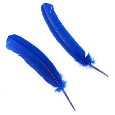 Royal Blue Dyed Turkey Quill Feathers, Pkg of 4