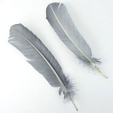 Silver Gray Dyed Turkey Quill Feathers, Pkg of 4