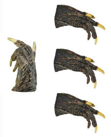 Real Alligator Foot, 1.75" to 2.75"