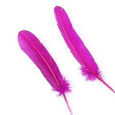 Violet Blue Dyed Turkey Quill Feathers, Pkg of 4