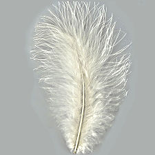 White Turkey Maribou Feathers, 3 to 8 inches