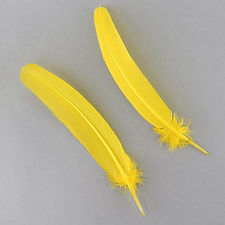 Yellow Dyed Turkey Quill Feathers, Pkg of 4